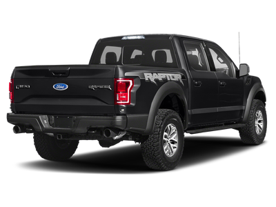 2019 Ford F-150 Raptor Raptor